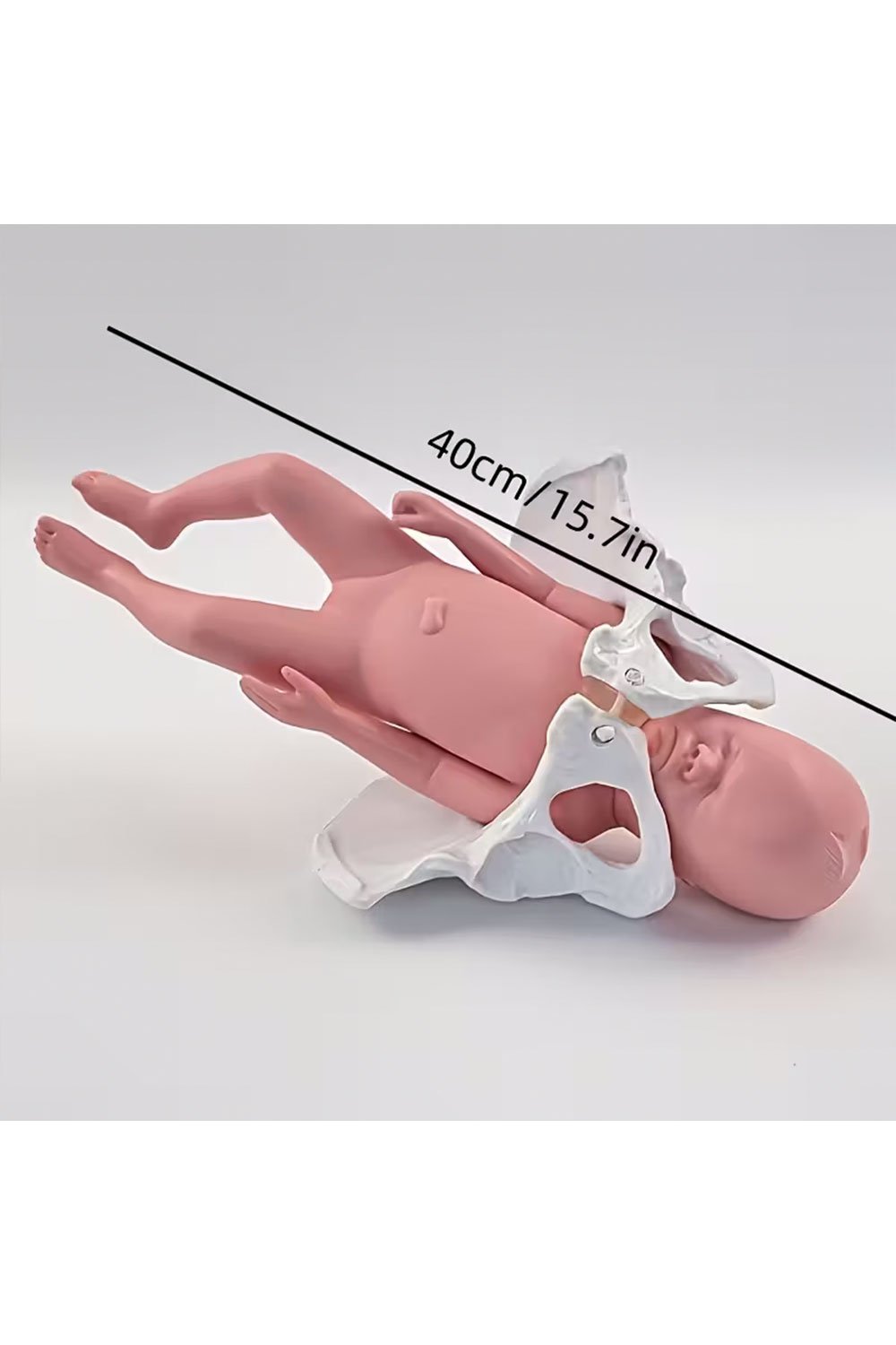 نموذج ولادة بالحجم الطبيعي - الصورة 2