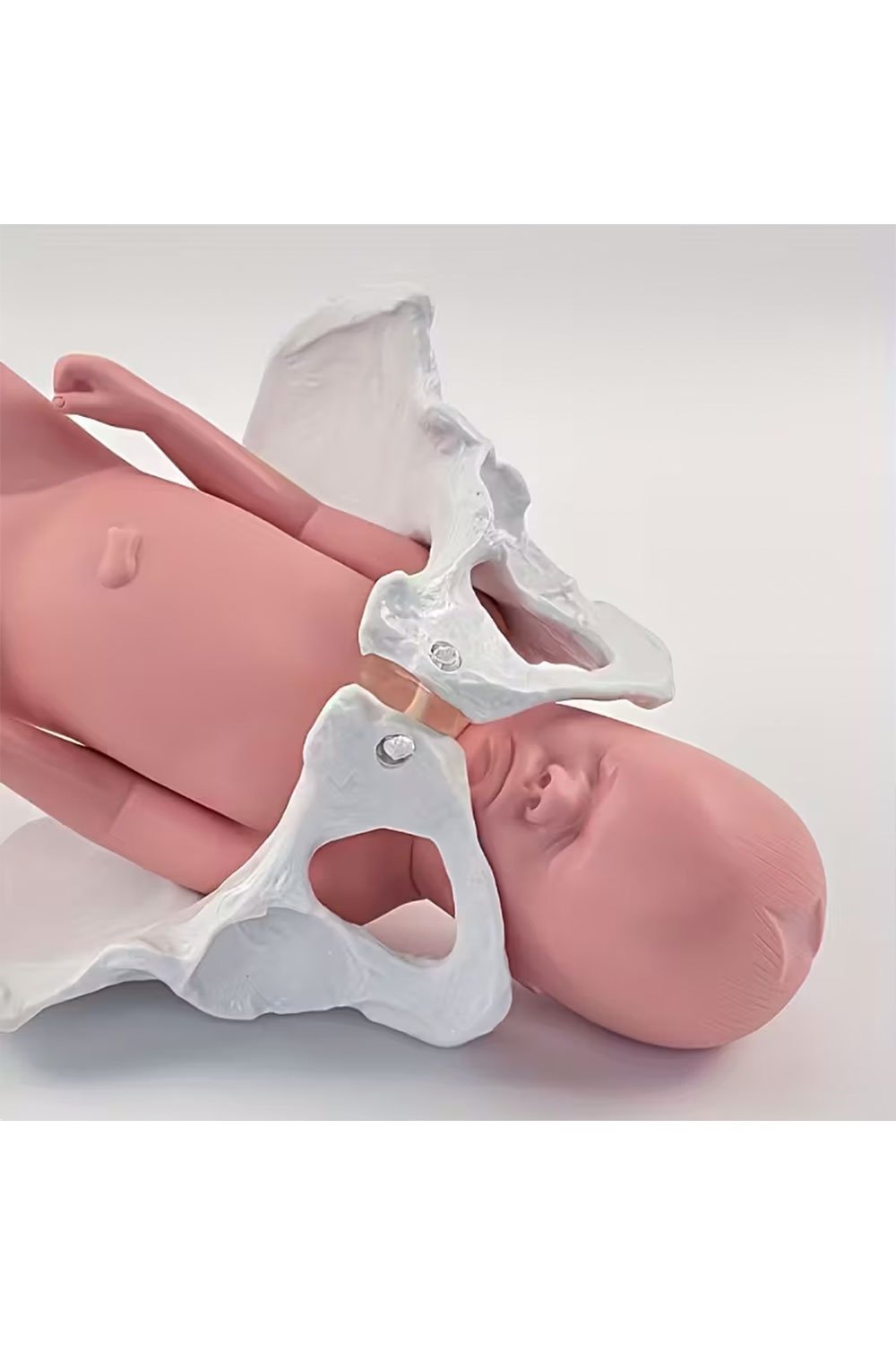 نموذج ولادة بالحجم الطبيعي - الصورة 3
