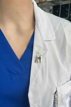 Dental Tooth Pins